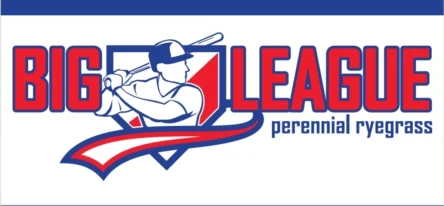 LOLIUM PERENNE - BIG LEAGUE