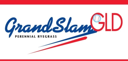 LOLIUM PERENNE - GRANDSLAM GLD